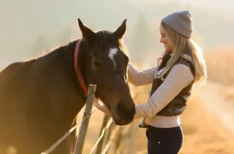 Конные прогулки по Национальному парку