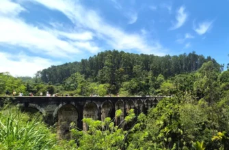 На краю света: приключение в самое сердце Шри-Ланки