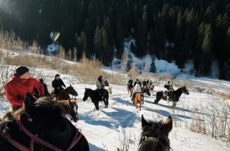 Конное путешествие «Тропами кочевников: Всё включено»