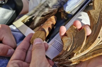 Прогулка по Гродно с реставратором в мини-группе