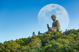 Лантау: канатная дорога, рыбацкая деревня Тай О и статуя Большого Будды