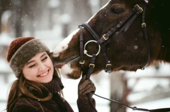 Конный маршрут «Долина Пседаго»