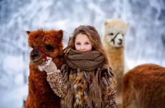 Альпака-парк и Медовые водопады: уютная поездка на полдня