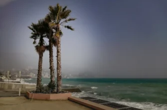 Мечта о русском Голливуде