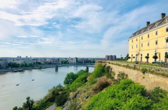 Нови сад - Суботица - винно-гастрономический тур на Север Сербии