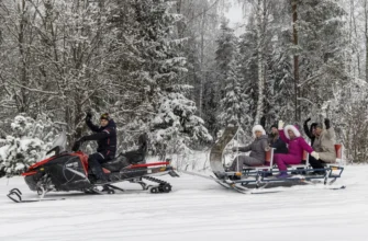 На современных санях за снегоходом - прогулка по лесу