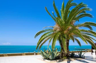 Обзорная экскурсия по Сочи (из Адлера)