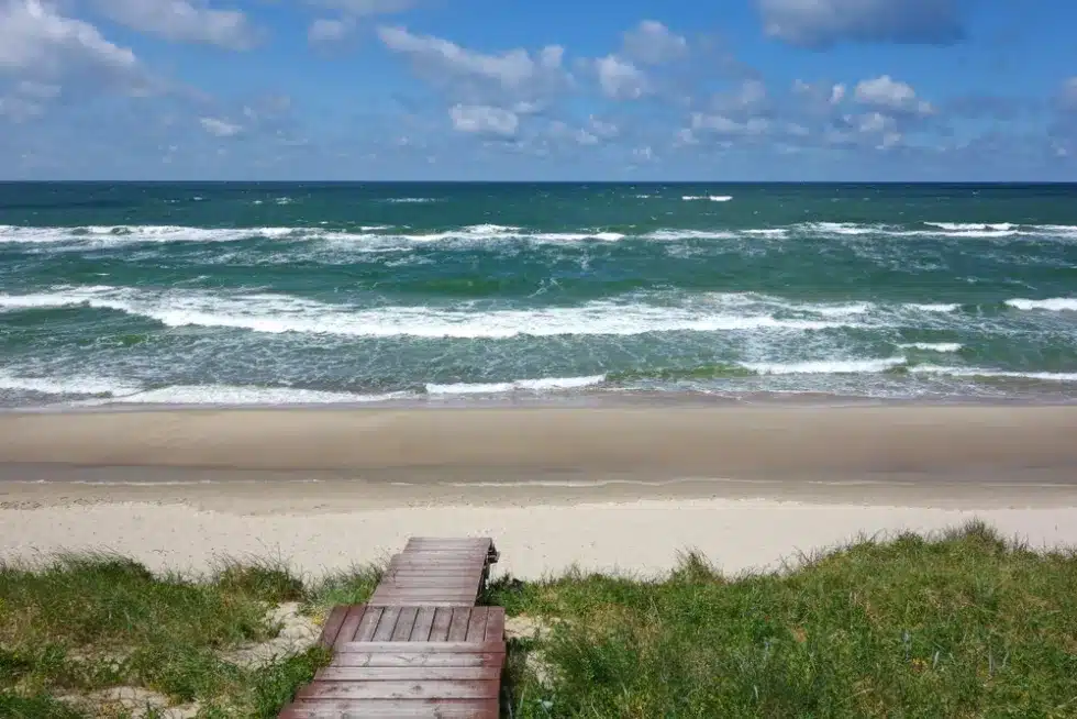 Сыроварня Шаакен Дорф, Куршская коса и Зеленоградск на микроавтобусе