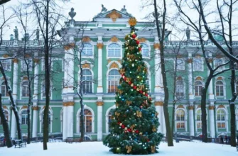 Коллекция Эрмитажа и парадная жизнь Зимнего дворца (без входных билетов)